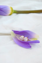 Citrine Crystal Tooth Stud Earrings.