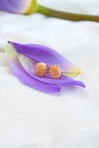 Citrine Crystal Tooth Stud Earrings.